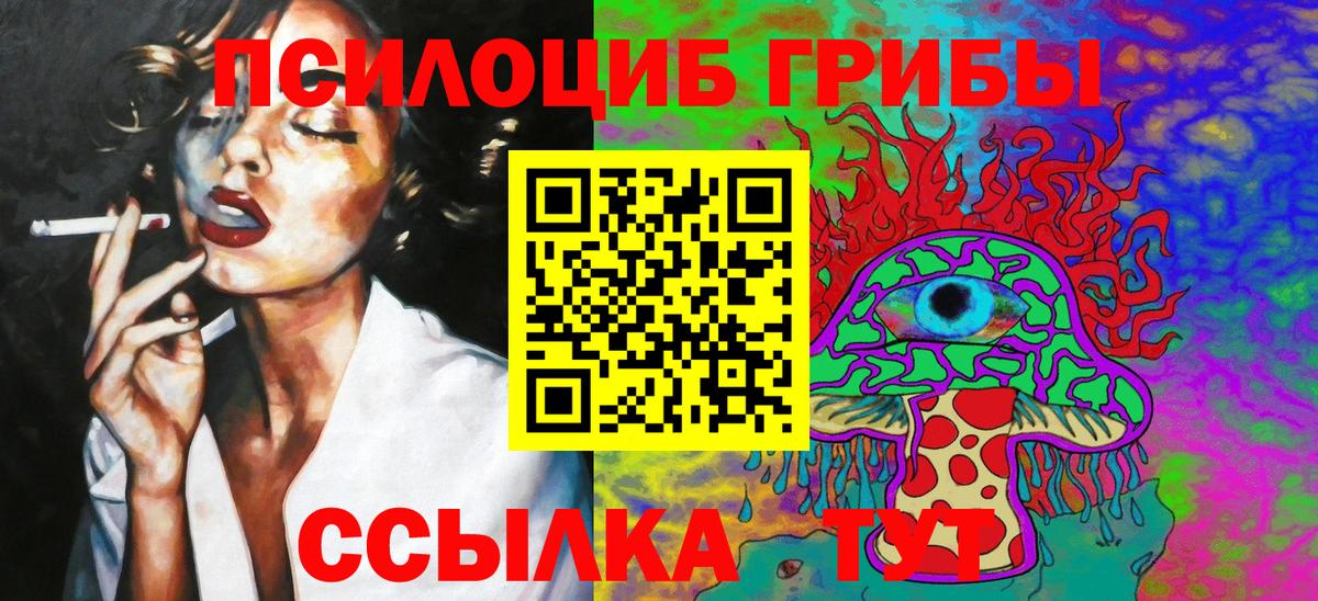 Галлюциногенные грибы Psilocybine cubensis Чернушка