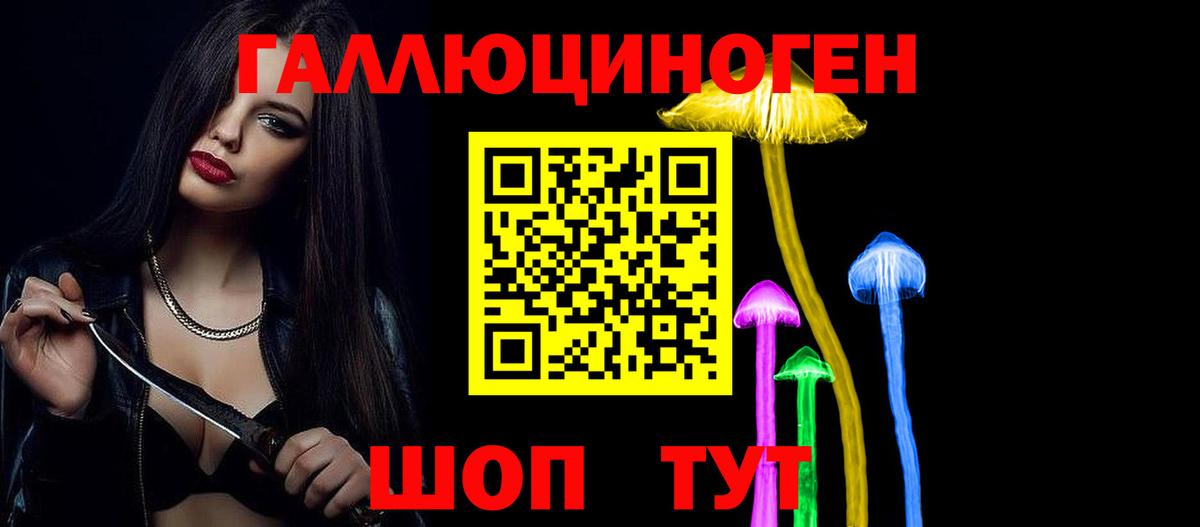 Псилоцибиновые грибы Psilocybe  Псилоцибиновые грибы мицелий  Вход с VPN  Чернушка 